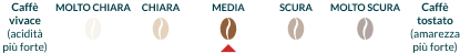 Tipo di torrefazione