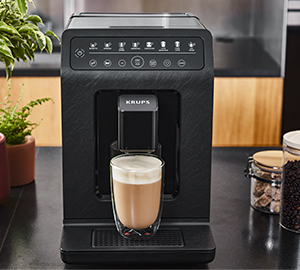 Manutenzione Krups Evidence Eco Design EA897B10