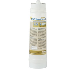 BWT Water+More - Filtro Acqua Bestmax Premium V 1800 litri 