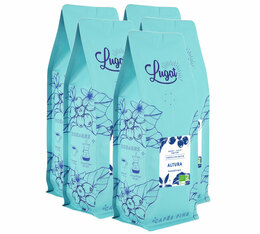 Cafés Lugat - Caffè in grani uso professionale -  Altura 5 kg