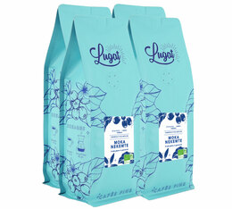 Cafés Lugat - Caffè in grani uso professionale - Moka Nekemte Etiopia 1 kg