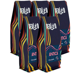 Perleo - Caffè in grani Per professionisti Antica 5 kg