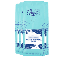 Lugat - Caffè in grani - Moka Sidama Tabé Etiopia 1 kg