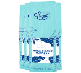 Cafés Lugat - Caffè in grani - Moka Sidamo Marabou | Etiopia - 1 kg