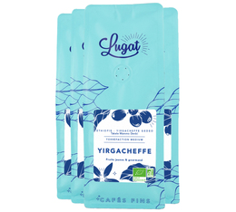 Cafés Lugat - Caffè in grani - Yirgacheffe Bio | Etiopia 4 x 250 g