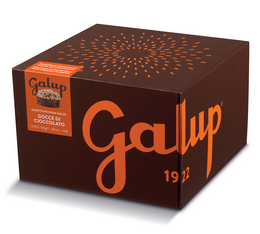 Galup - Panettone con gocce di Cioccolato fondente 750 g 