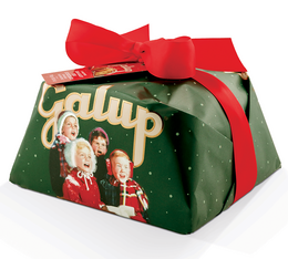 Galup - Panettone farcito al Pistacchio con gocce di cioccolato 900 g