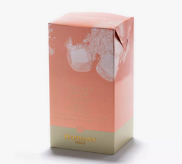 Dammann Frères - Tè freddo alla Pesca - 6 bustine piramidali