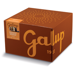 Galup - Panettone farcito alla crema al Gianduja Streglio 1 kg