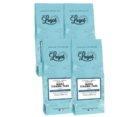 Cafés Lugat - Caffè in grani - Moka Sidama Tabé Etiopia 1 kg