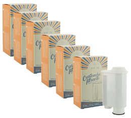 ARFIZE - Filtro acqua compatibile Brita Intenza+ PHILIPS/ SAECO/ GAGGIA - ACF-11J x 6