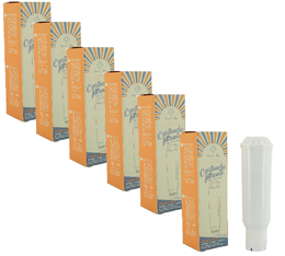 ARFIZE - Filtro Acqua compatibile con Krups - ACF-11C x 6