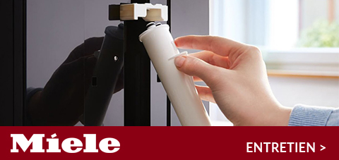 Manutenzione Miele